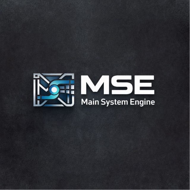MSE Team